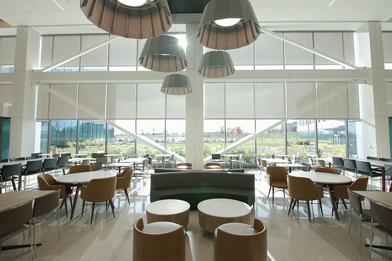 Cafeteria with tables and chairs; large windows look out on landscaping and let in light